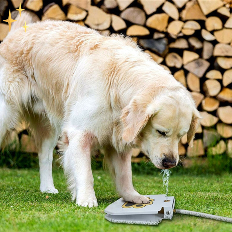 IInteraktives Hundespielzeug Fontäne - PawSplash