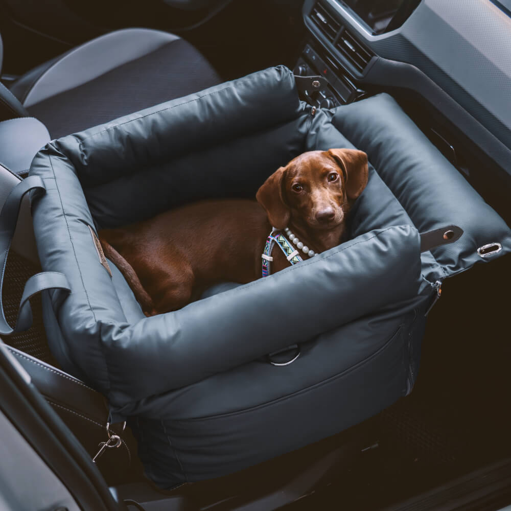 Bequemer Autositz für Hunde - PawLuxury