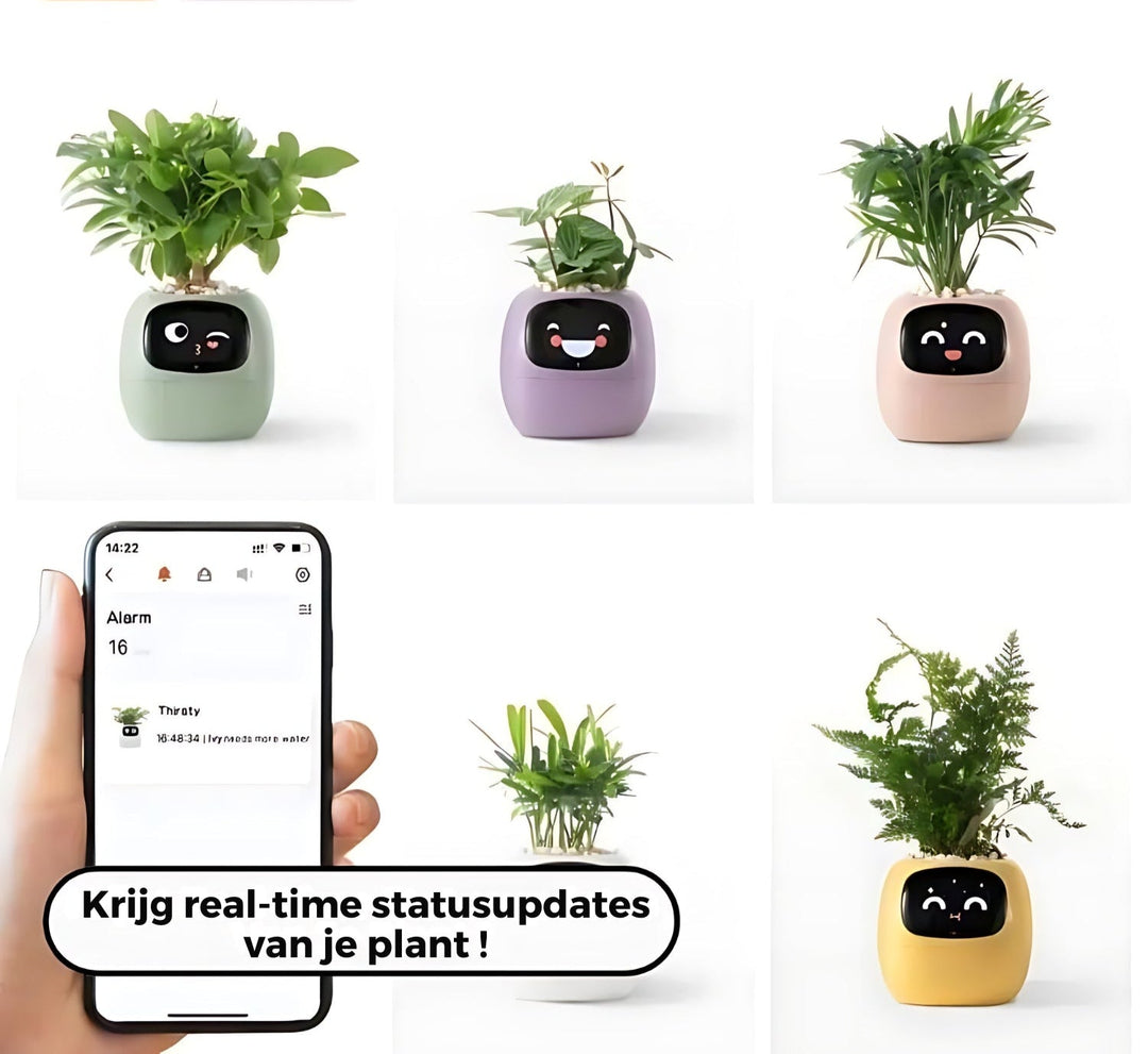 Automatischer Smart-Blumentopf – GreenBuddy SmartPot