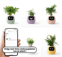 Automatischer Smart-Blumentopf – GreenBuddy SmartPot