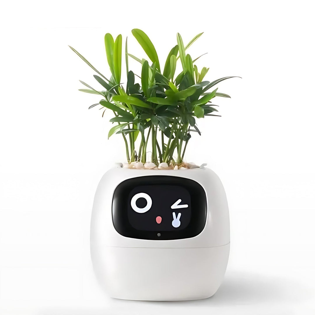 Automatischer Smart-Blumentopf – GreenBuddy SmartPot