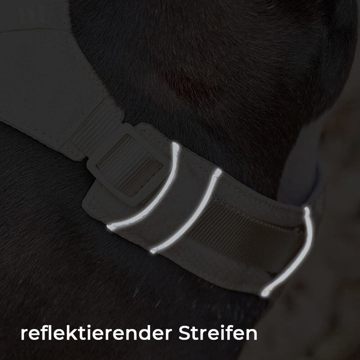 Anti-Zieh Hundegeschirr mit Multifunktionaler Leine - AquaCool