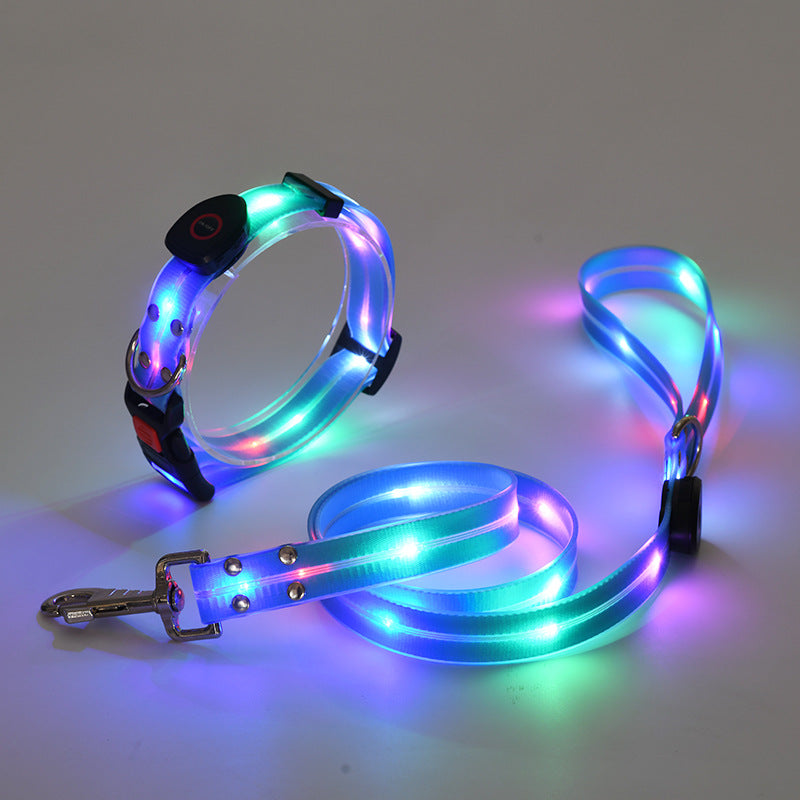 Leuchtendes LED Hundehalsband mit Leine - NightBright