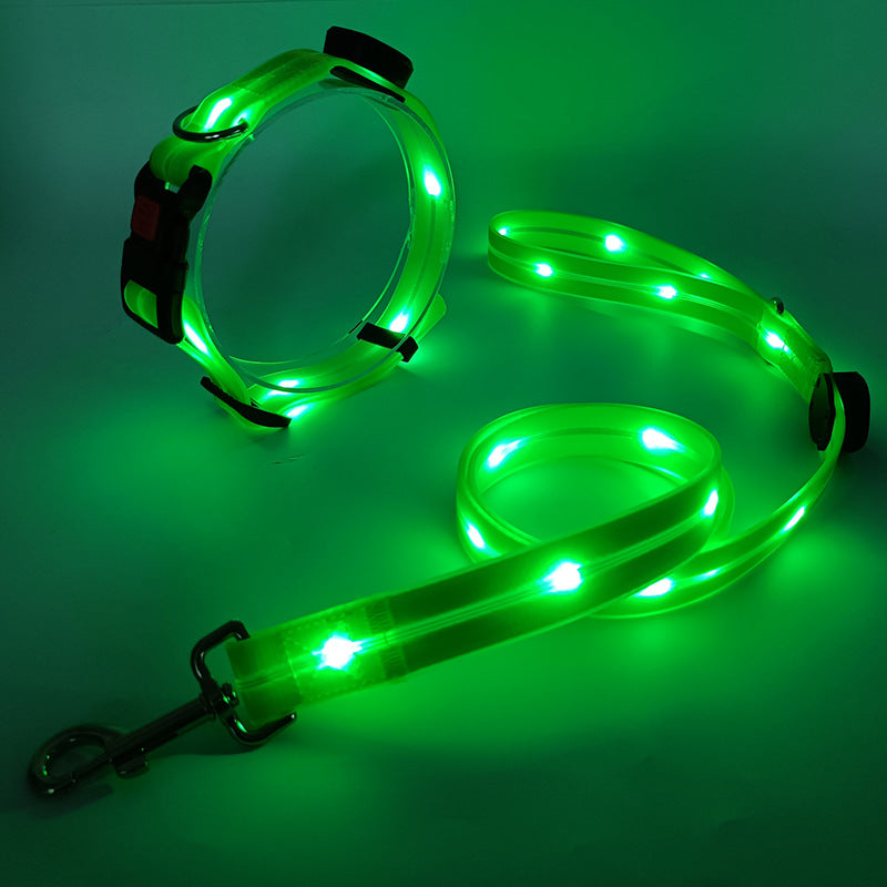 Leuchtendes LED Hundehalsband mit Leine - NightBright