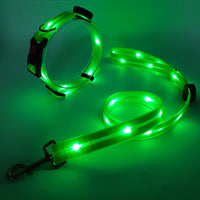 Leuchtendes LED Hundehalsband mit Leine - NightBright