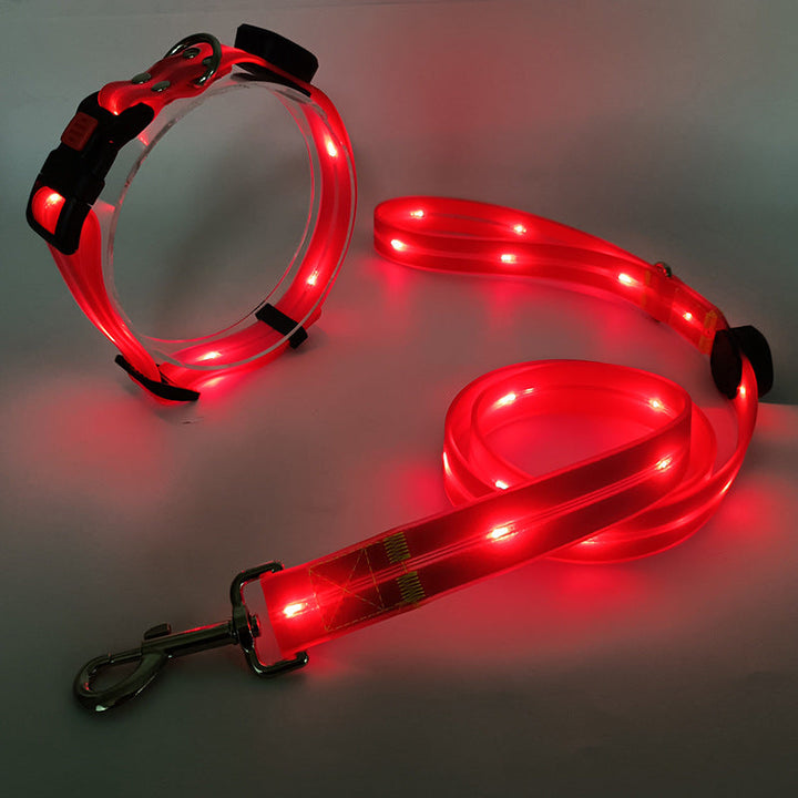 Leuchtendes LED Hundehalsband mit Leine - NightBright