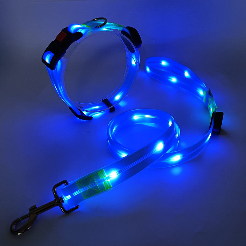 Leuchtendes LED Hundehalsband mit Leine - NightBright