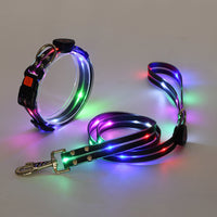 Leuchtendes LED Hundehalsband mit Leine - NightBright