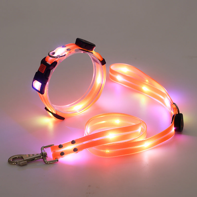 Leuchtendes LED Hundehalsband mit Leine - NightBright