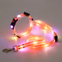 Leuchtendes LED Hundehalsband mit Leine - NightBright