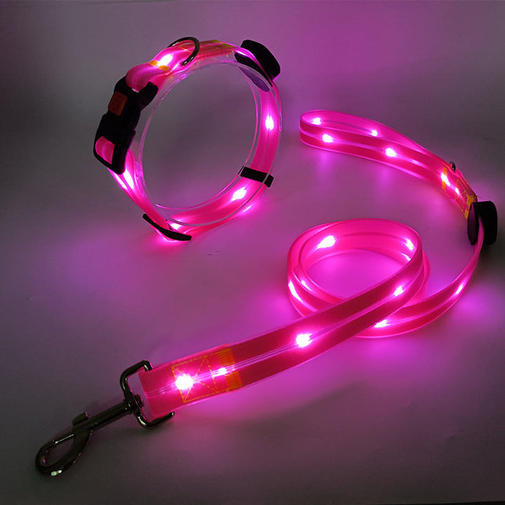 Leuchtendes LED Hundehalsband mit Leine - NightBright