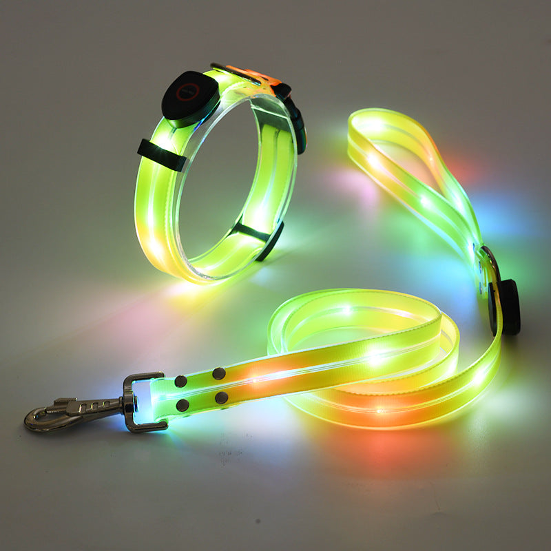 Leuchtendes LED Hundehalsband mit Leine - NightBright