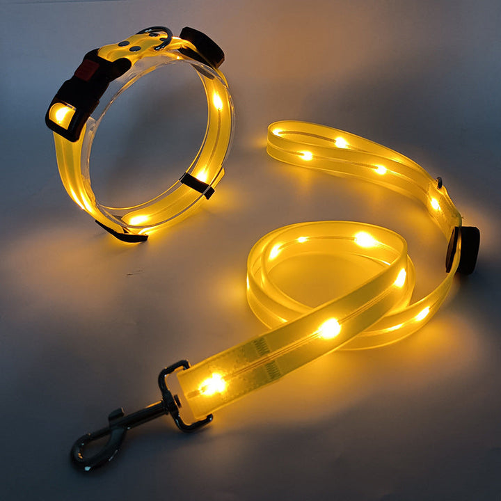 Leuchtendes LED Hundehalsband mit Leine - NightBright