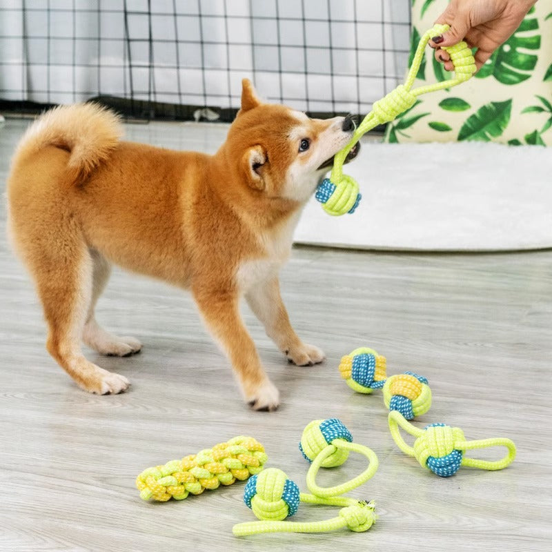 Hundespielzeug - Tug & Play Rope Ball