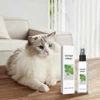 Beruhigendes Katzenspray - SilverVine Bliss Spray