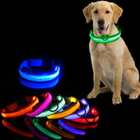 Hundehalsband mit LED-Beleuchtung - GlowCollar