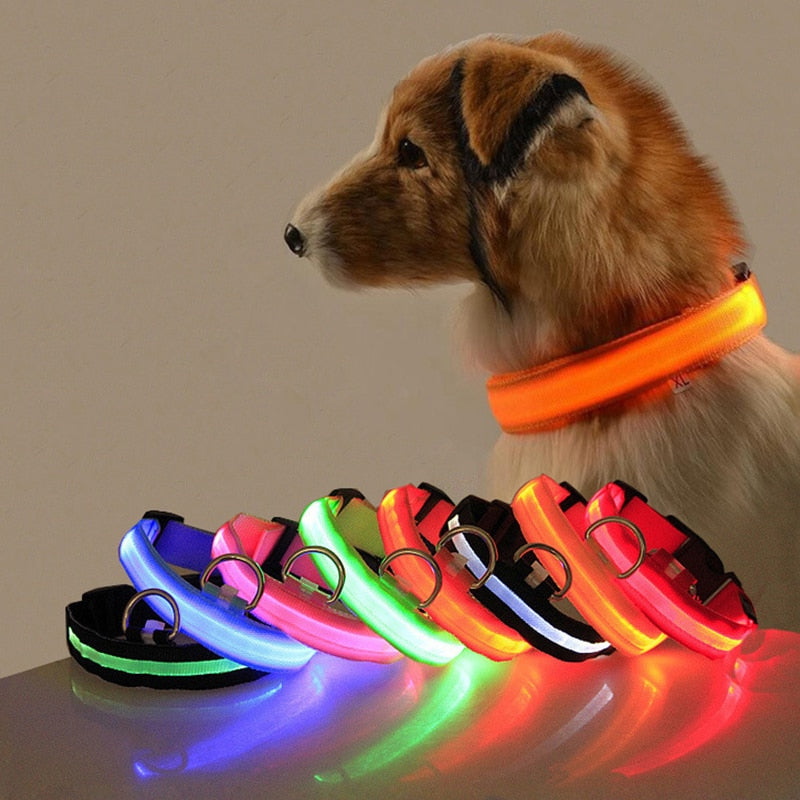 Hundehalsband mit LED-Beleuchtung - GlowCollar