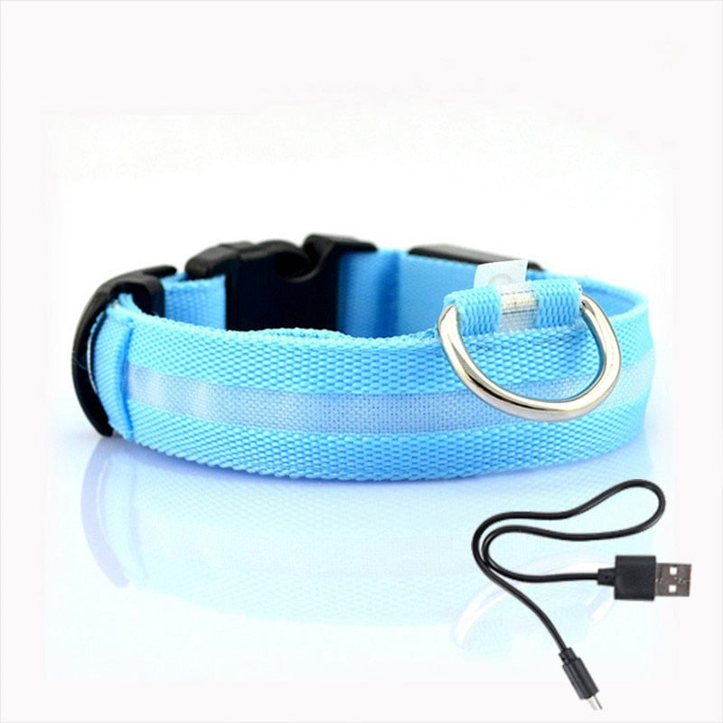 Hundehalsband mit LED-Beleuchtung - GlowCollar