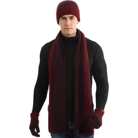 Herren Winter Beanie- & Handschuh-Set – Victor