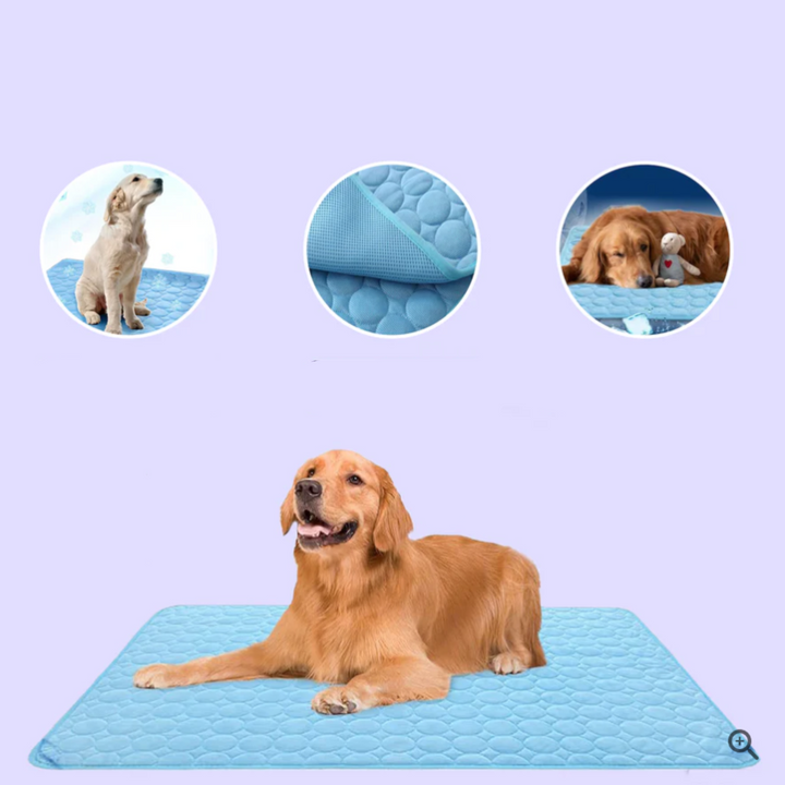 Innovative Kühlmatte für Hunde (4x Kühlkraft) - ChillComfort