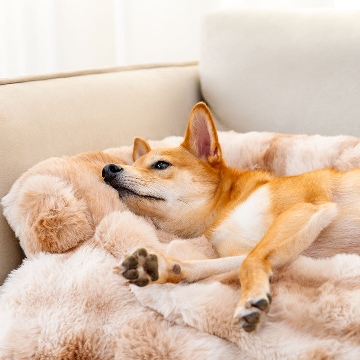 Weiches Hundebett - PlushNest