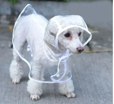 Transparente Wasserdichte Regenjacke für Hunde - DryPaw