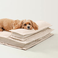 Beruhigendes Hundebett - CozyCalm Deep Sleep