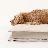 Beruhigendes Hundebett - CozyCalm Deep Sleep