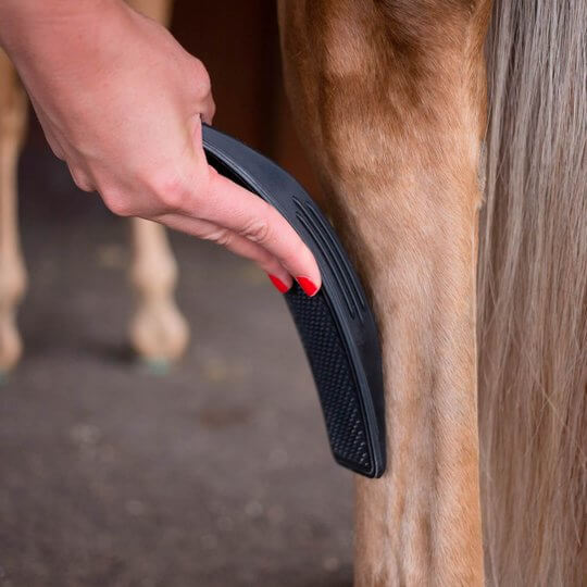 6-in-1 Pferdepflegebürste - EquiGlow