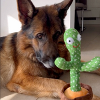 Sprechendes Kaktusspielzeug für Hunde - Talk-to-Me Cactus