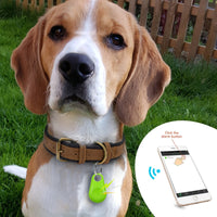 Haustier GPS-Tag - PawFinder