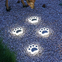 Kabellose Solar Pfotenabdruck Gartenbeleuchtung – PawsGlow