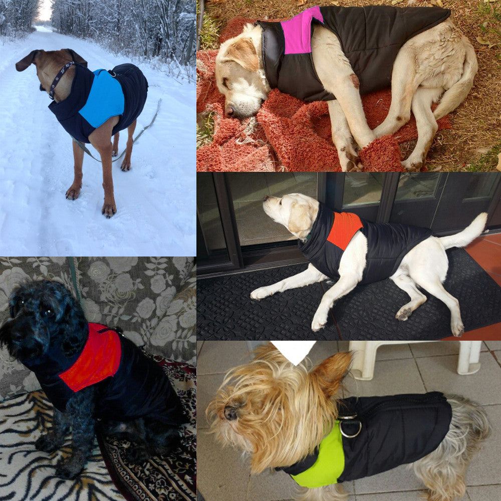 Warme und Wasserabweisende Hundejacke - WarmPaws