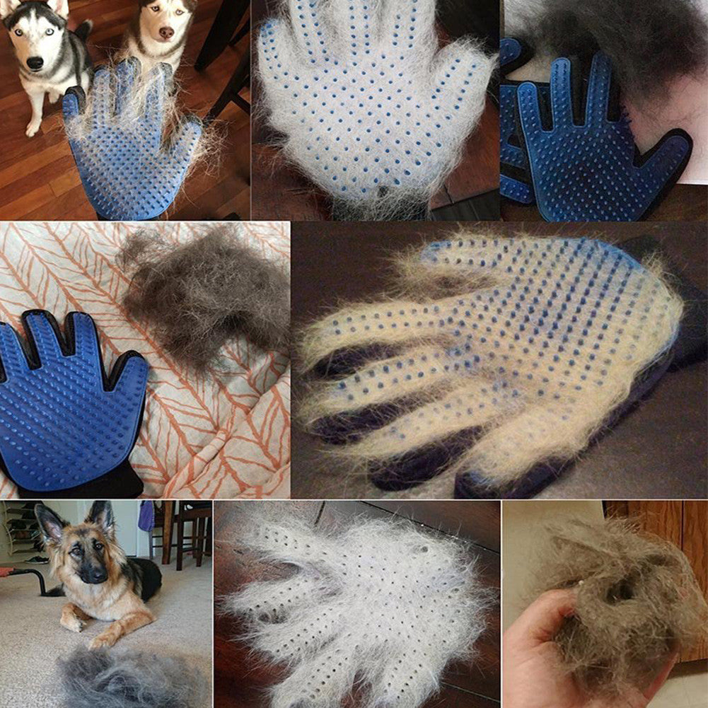 Vachtpflege-Handschuh für Hunde und Katzen - GroomGlove