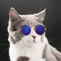 Trendy Katzenbrille - KittyShades