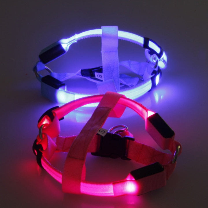 Hundegeschirr mit LED - Glow&Go