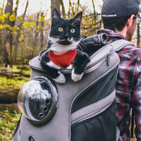 Katzenreisetasche - CatTrekker