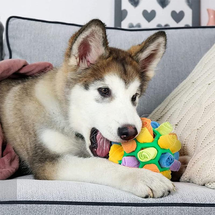 Interaktives Hundespielzeug - SnuffleFun