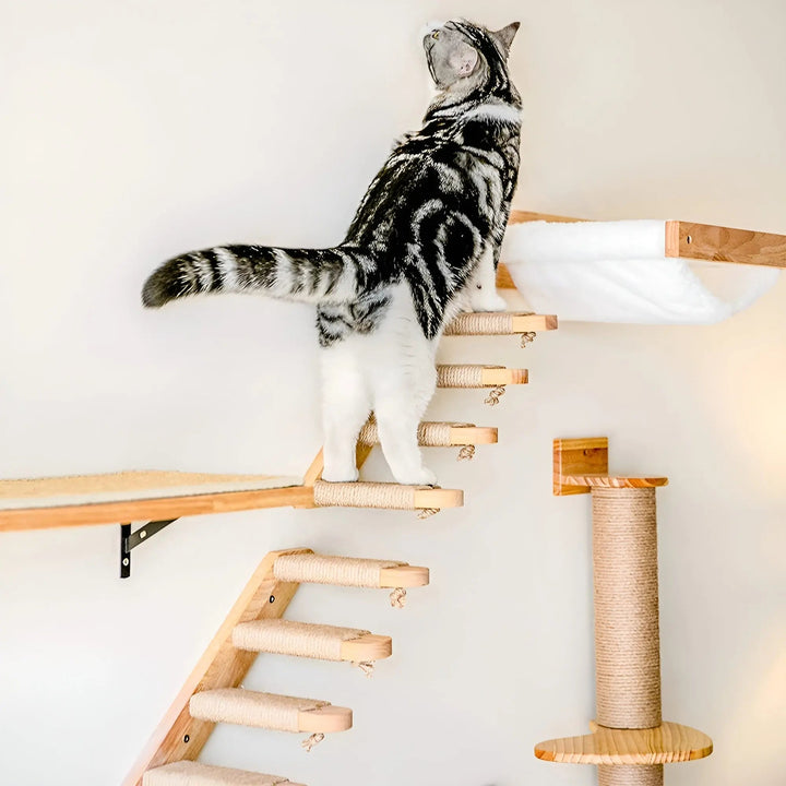 Wandkletterbrett für Katzen mit Kratzsäule - ClimbPaws