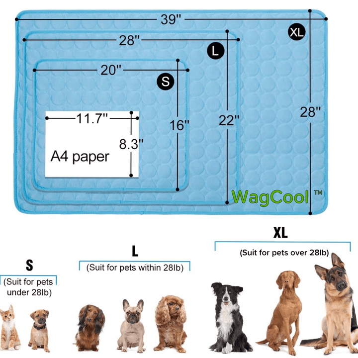 Kühlende Hundematte - CoolPet Mat