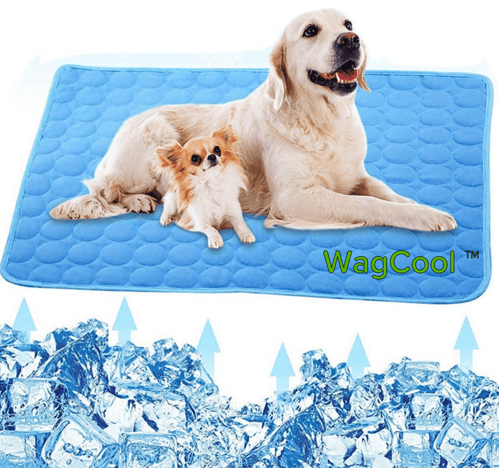 Kühlende Hundematte - CoolPet Mat