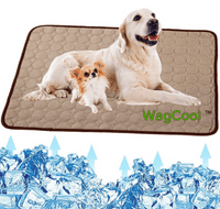 Kühlende Hundematte - CoolPet Mat