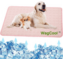 Kühlende Hundematte - CoolPet Mat