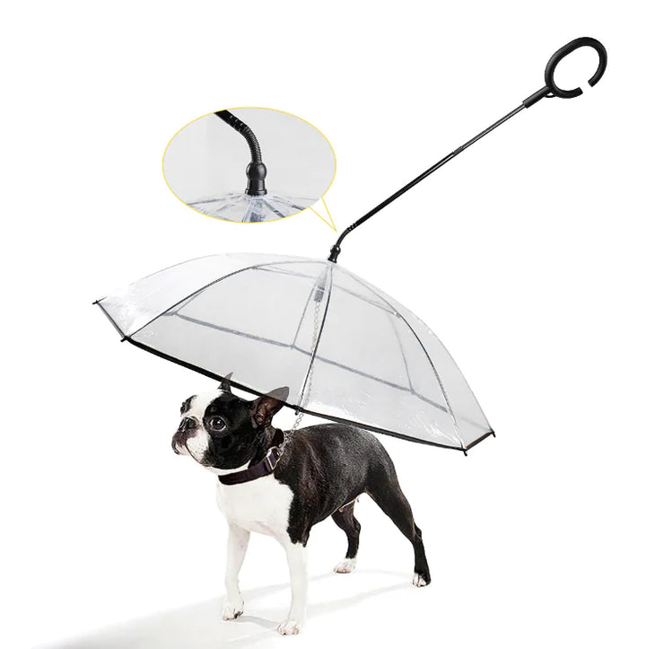 Transparente Hunde-Regenschirm - ClearShield